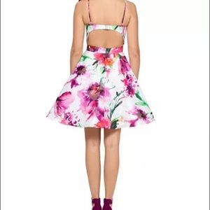 Xscape Fit & Flare Dress